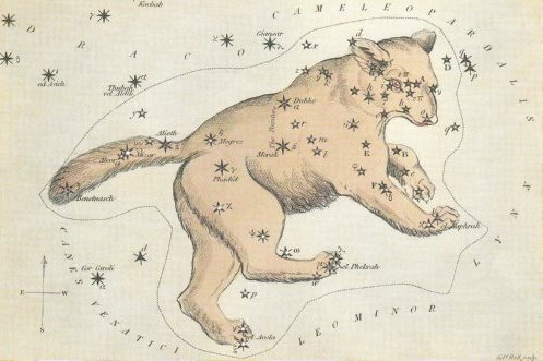 Ursa_maior